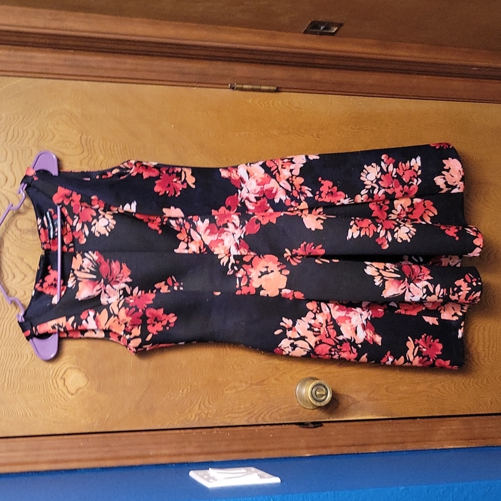 Blue and Red A-Line Sleeveless Floral Dress Size 8